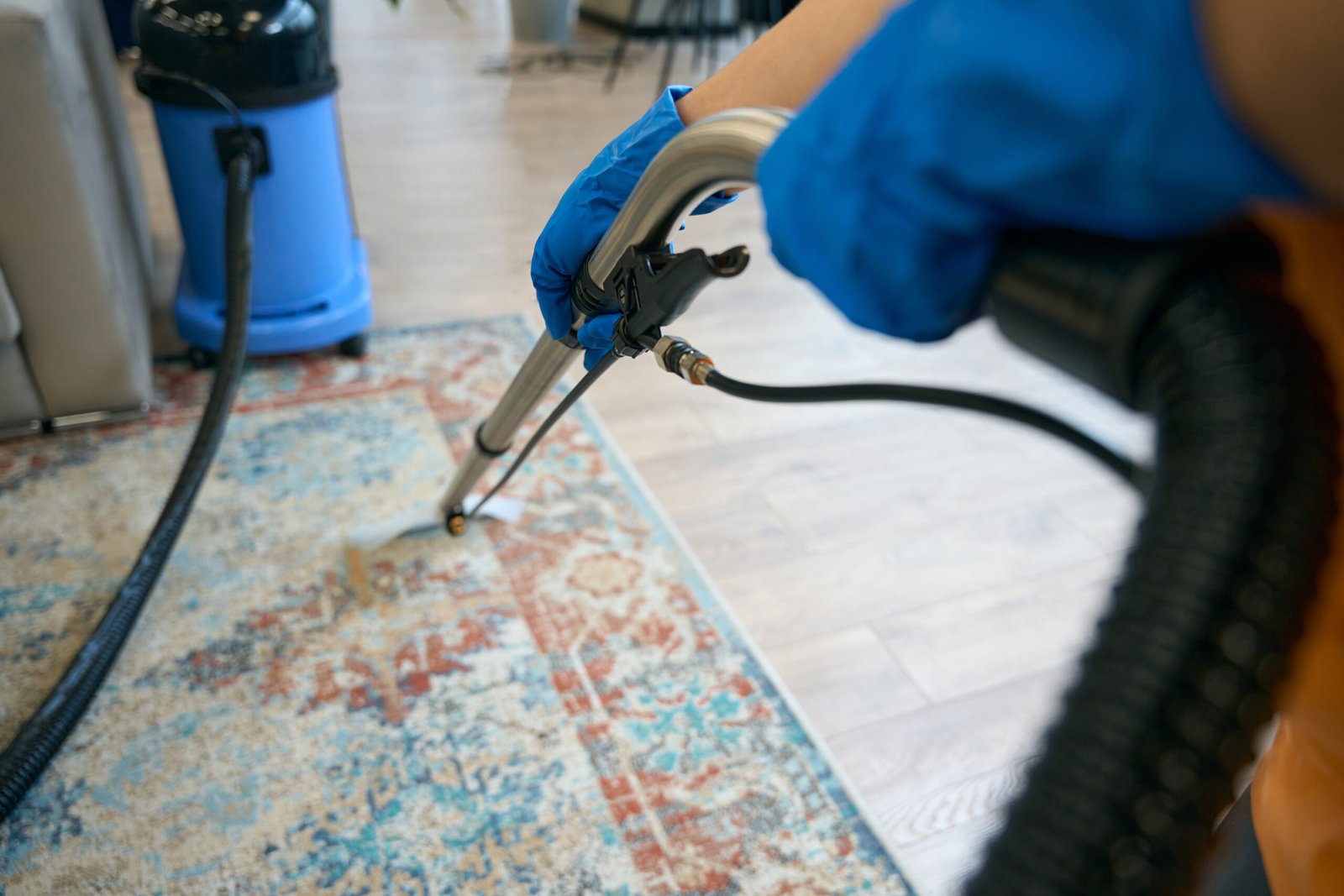 Regular Carpet Cleaning