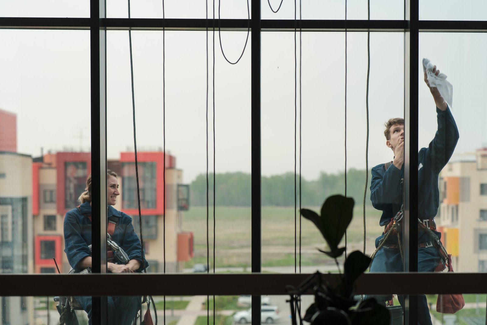 Window Cleaning